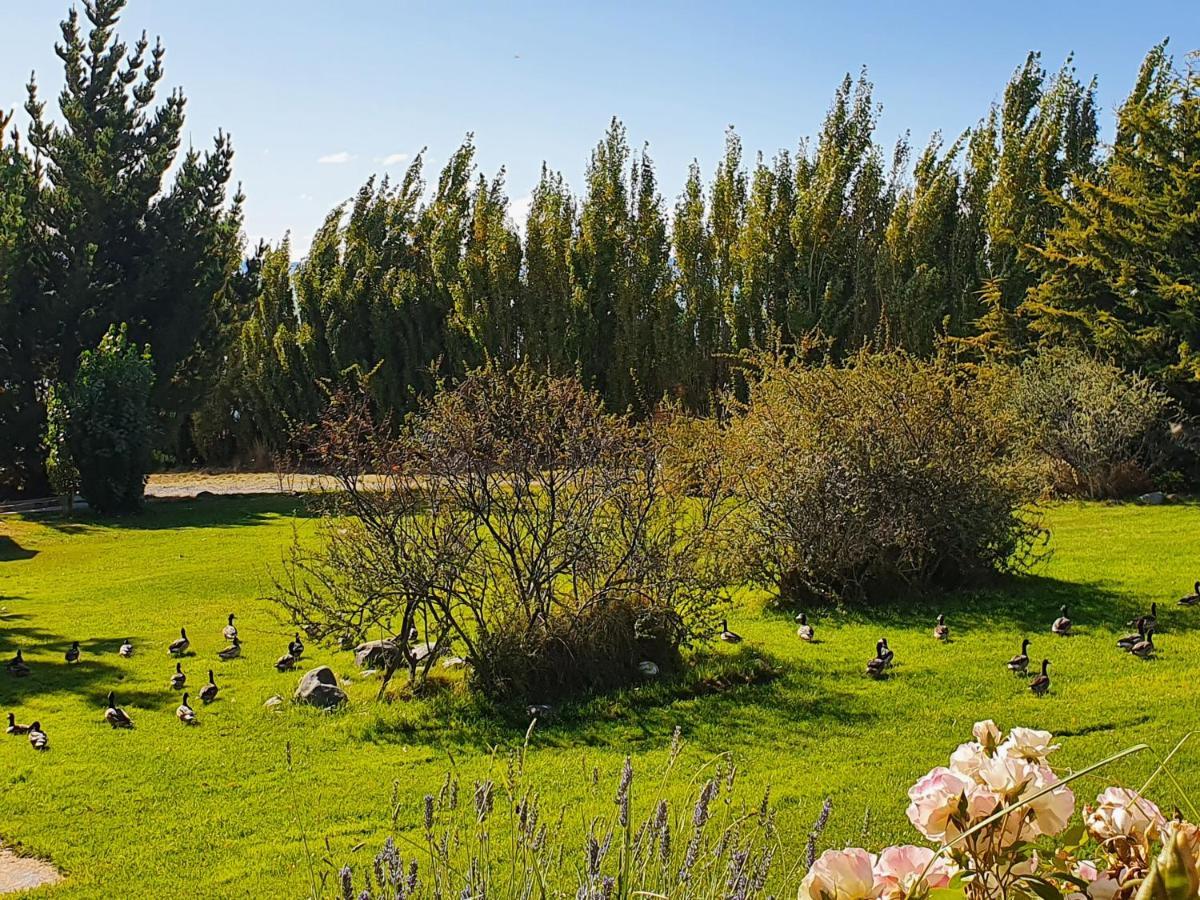 Cabanas Normana Inn Ελ Καλαφάτε Εξωτερικό φωτογραφία